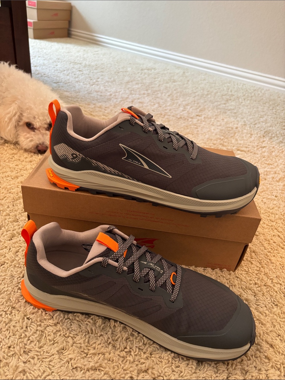 Altra M Lone Peak 9+